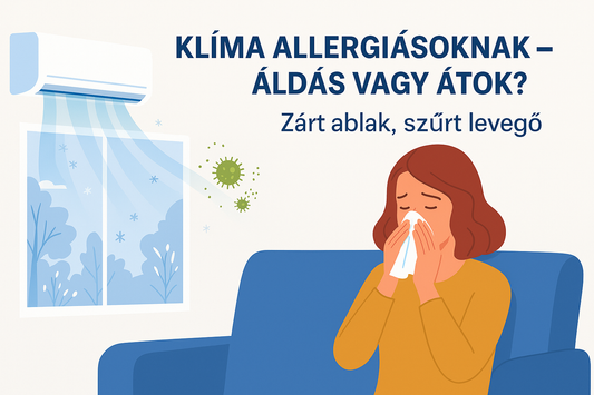 Klíma allergiásoknak